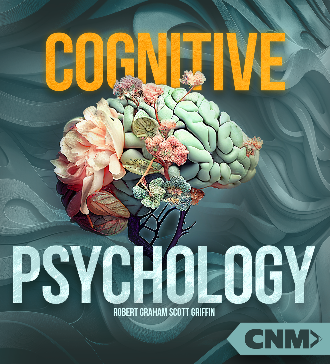 Cover image for Cognitive Psychology