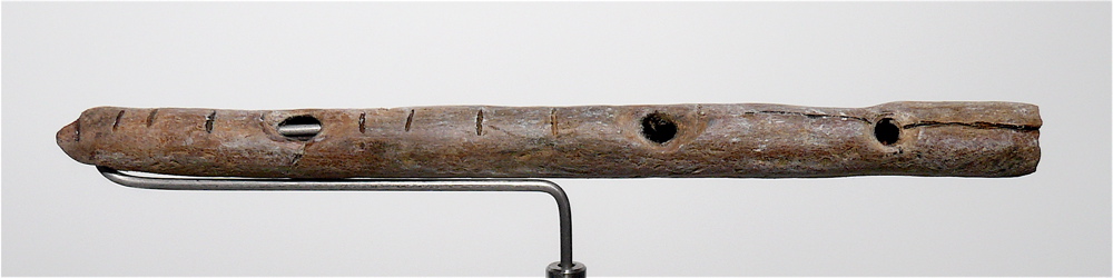 An ancient flute made from bone, with several holes drilled into it. The instrument is displayed on a stand, showcasing its long, slender shape and carved markings.