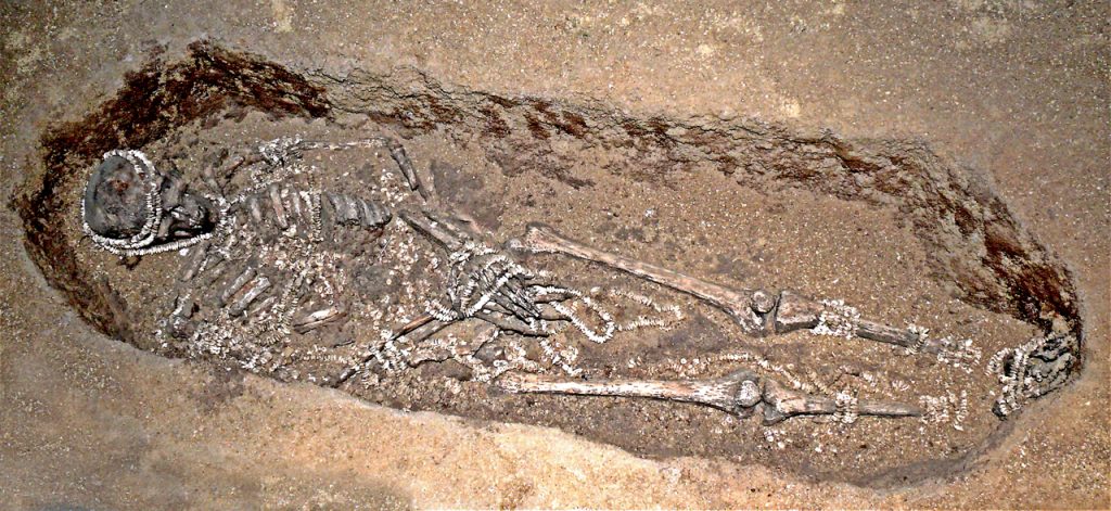 An image of an ancient burial site showing a human skeleton in a grave. The remains are laid out in a horizontal position, with various artifacts or beads scattered around the body, suggesting ritualistic or cultural practices associated with the burial. The remains are partially covered by soil, and the bones appear well-preserved.