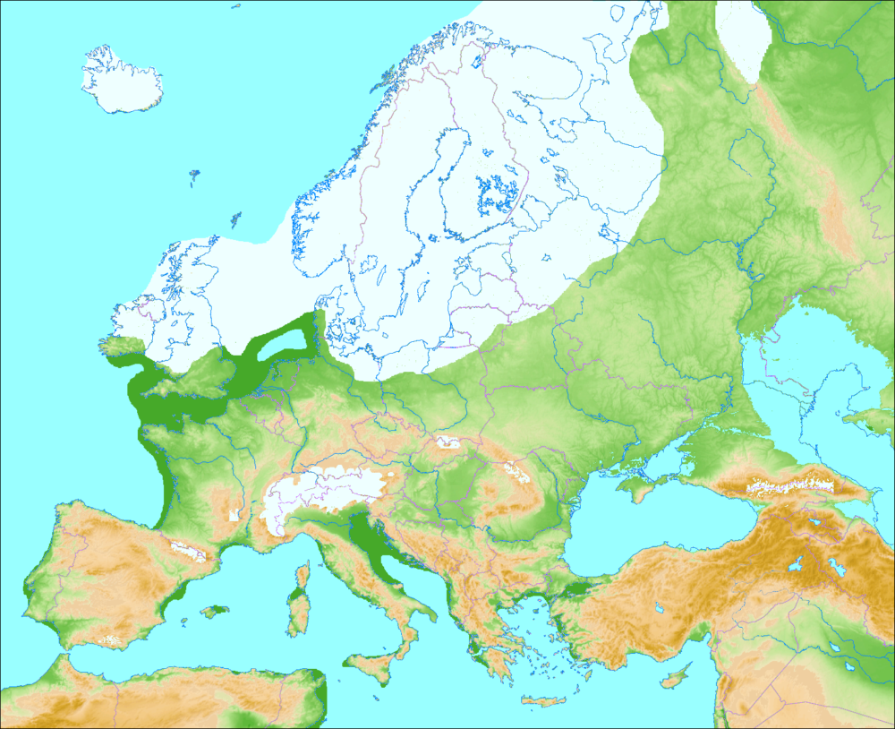 A map of Europe showing various geographic features such as mountains, plains, and coastlines. The map highlights the green, forested areas in central and southern Europe, while the northern regions are depicted with snowy areas. The Mediterranean is visible to the south, and the map extends to include parts of Scandinavia and Russia. The boundaries of countries are outlined in purple.