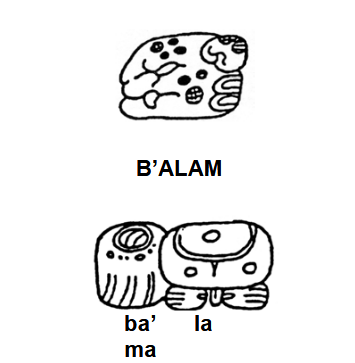 This image displays two glyphs representing the Mayan word "B'ALAM," which means "jaguar." The top glyph is a more symbolic depiction resembling a jaguar with distinctive patterns, dots, and curves characteristic of Mayan script. Below it are syllabic components "ba’" and "la" that phonetically spell out "B'ALAM." These glyphs showcase the sophisticated logographic and syllabic system of the ancient Mayan writing.