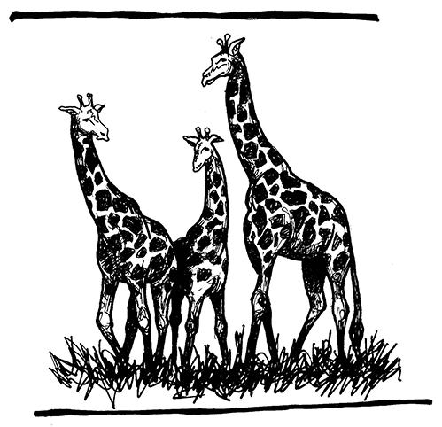 Alt text for accessibility