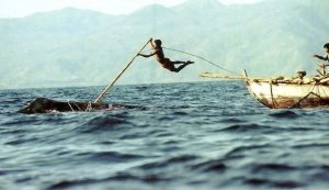 Lamalera whale hunting