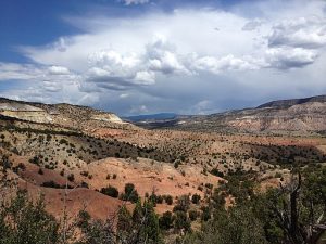 A picture of a New Mexico mesa dotted with juniper under a cloud-filled blue sky.