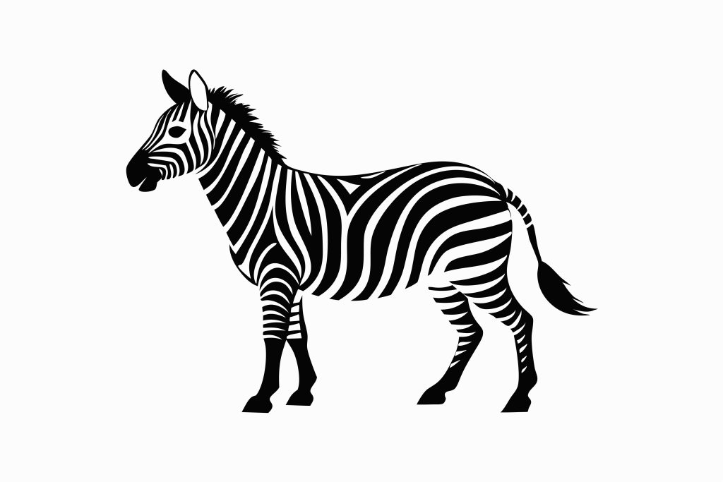 A vector illustration of a zebra in profile.
