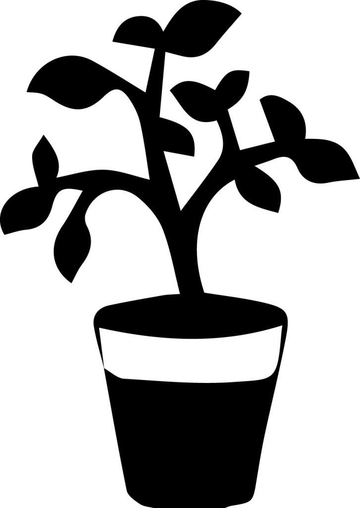 A plant in a pot in silhouette.