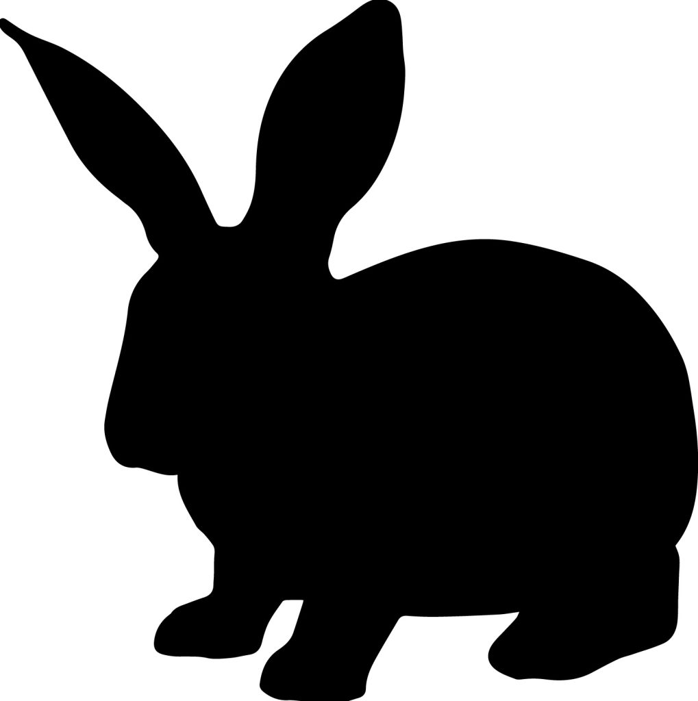 A Silhouette of a rabbit