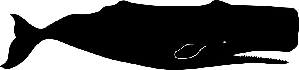 A silhouette of a whale profile.