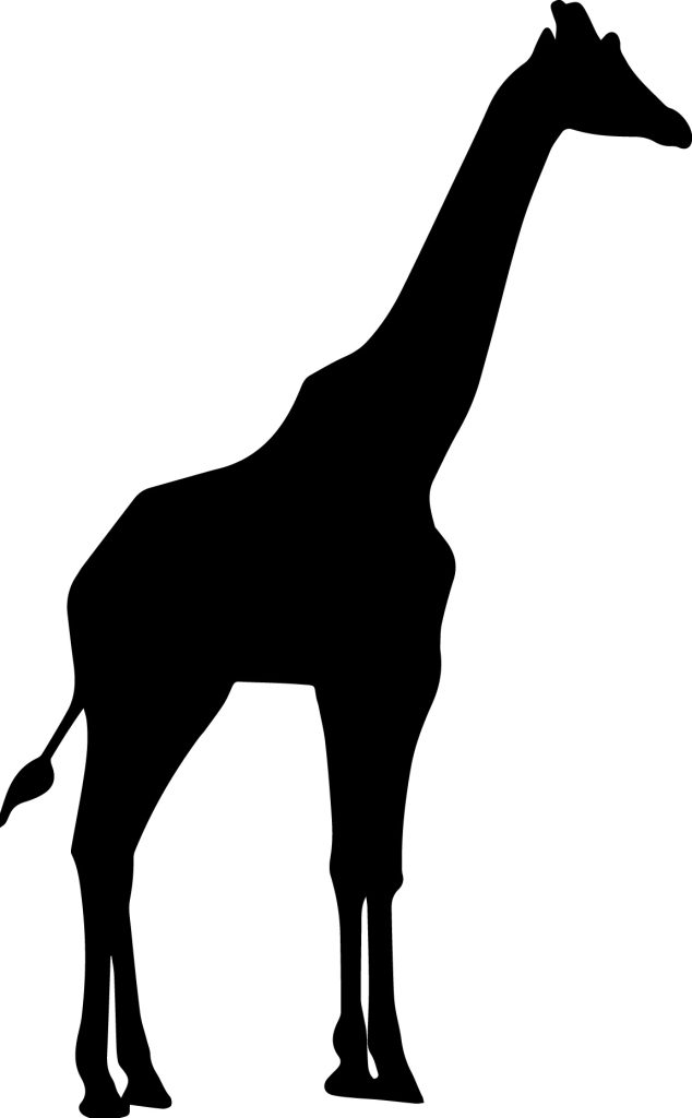 A silhouette of a giraffe profile.
